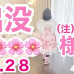 【留守中に出没する妖精No.28】真似メイク💄