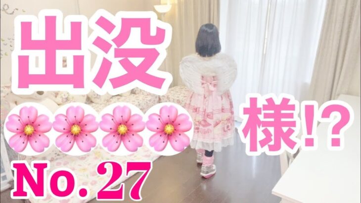 【留守中に出没する妖精No27】真似メイク💄