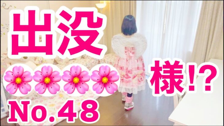 【留守中に出没する妖精No.48】真似メイク💄