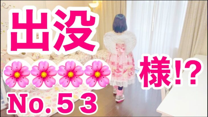 【留守中に出没する妖精No.53】真似メイク💄