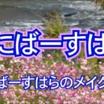 女芸人 ユニバースハラの度肝を抜かれる芸術的メイク