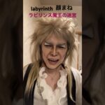 #labyrinth #ラビリンス魔王の迷宮　#映画 #davidbowie #デヴィッドボウイ #ものまね #ものまねメイク